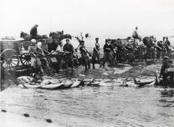 A fine haul - At Astoria, Oregon, these men hauling in a beach seine heavy with Columbia River salmon Image