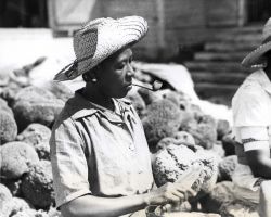 Cleaning sponges at Bahama Islands facility Image