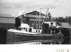 F/V LEMES offloading fish at the Everett Fish Company Image