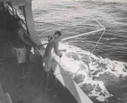 Deploying the bathythermograph from the Fisheries Research Vessel HUGH M Image