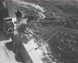 A bathythermograph being deployed by lanyard from the Fisheries Research Vessel HUGH M Image