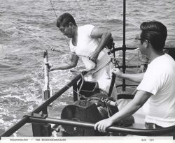 Deploying a bathythermograph from a fisheries research vessel Image