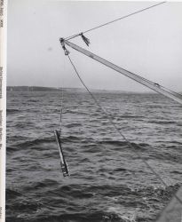 Deploying a bathythermograph from a fisheries research vessel Image