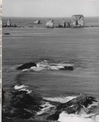 Seal rocks off Point Chiniak Image