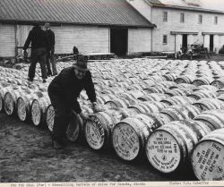 Stencilling barrels of fur seal skins for shipment to either Alaska or Canada Image