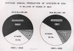 Average annual production of oysters in pounds showing relative percentages of oyster harvest for various areas when comparing 1893-1902 vs Image