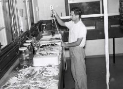 Artificial and natural oyster spat-collecting materials ready to be suspended for a test in sea water. Image
