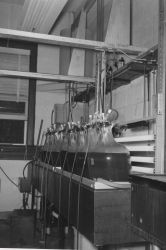A battery of large glass containers in which various types of larval food are grown. Image