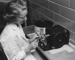 Sectioning oyster tissue for examination of parasites Image