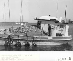 Docking oyster buyer boat Image