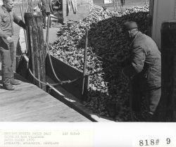 Docking oyster buyer boat Image