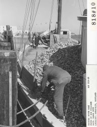 Docking oyster buyer boat Image