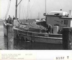 Docking oyster buyer boat Image
