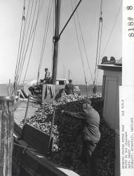 Docking an oyster buyer boat at Annapolis Image