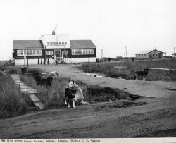 Faithful dogs waiting for their owners at Bethel school Image