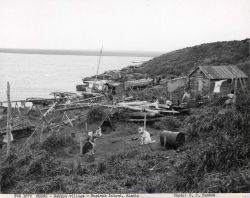Eskimo village with dogs, boats and house. Image