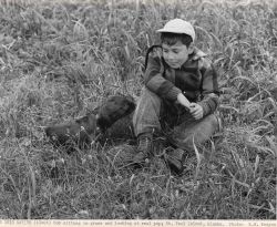 Aleut boy sitting in the grass with a fur seal pup Image