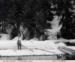Snow-covered weir at Herman Creek Image