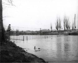Direct current device on the Two Hearted River Image
