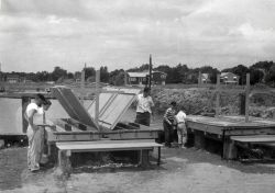 Experimental troughs with running sea water where, in a series of different experiments, various chemicals are being tested on starfish and oyster dri Image