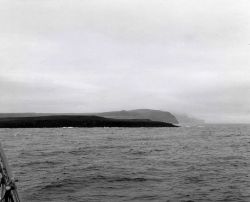 Fox trap on Zapodni Bay Image