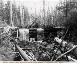 A water supply dam that could be made passable to fish somewhere in southeast Alaska. Image