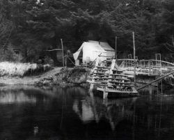 Device for trapping salmon fry for migration studies at the downstream migrant station. Image