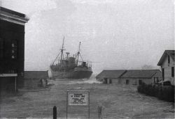 ALBATROSS III breaking free from pier during Hurricane Carol. Image