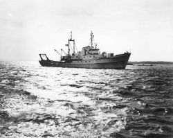 ALBATROSS IV approaching pier at Woods Hole Image