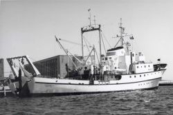 ALBATROSS IV tied up port side to at Woods Hole Image