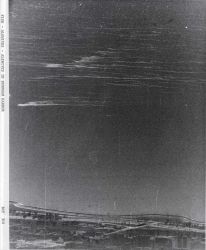 White streaks are dead alewives on Lake Michigan, part of the great die-off of June, 1967. Image