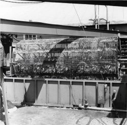 Alewife canning - Revolving drum used to wash and scale alewives Image