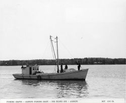 Alewife fishing craft AUDREY Image