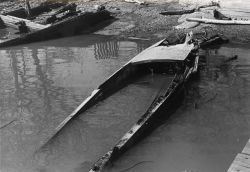 Derelict boat left to rot along the banks of the Potomac River. Image