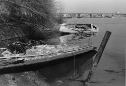 Derelict boat left to rot along the banks of the Potomac River. Image
