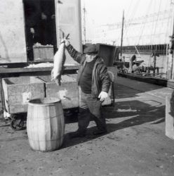 Boston Fish Pier Image