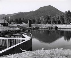 Dirt holding pond for adult salmon at Carson National Fish Hatchery Image