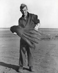 Fisherman? scientist? holding species of octopus Image
