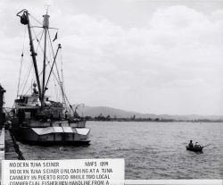 A modern tuna seiner with a homeport of Tacoma, Washington, unloading tuna at a Puerto Rican tuna processing plant while two local commercial fisherme Image