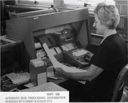 Automatic data processing of data gathered by fisheries biologists Image