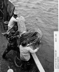 Setting otter trawl net Image