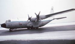 NOAA C-130 N6541C on tarmac. Image