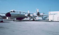 NOAA P-3 N42RF on the tarmac Image