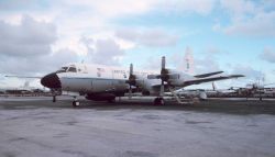 NOAA P-3 N43RF on the tarmac Image