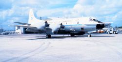 NOAA P-3 N43RF on the tarmac Image