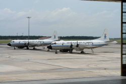 NOAA hurricane hunting P-3 aircraft N42RF and N43RF on the tarmac. Image