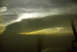 In Tropical Storm Dawn Image