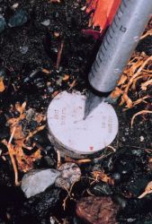 GPS antenna set up over reference mark for ATS1539, a mark set by a local surveyor. Image