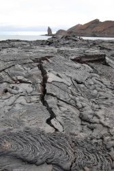 Cracks in a pahoehoe lava flow. Image