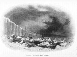 PEACOCK in contact with iceberg Image